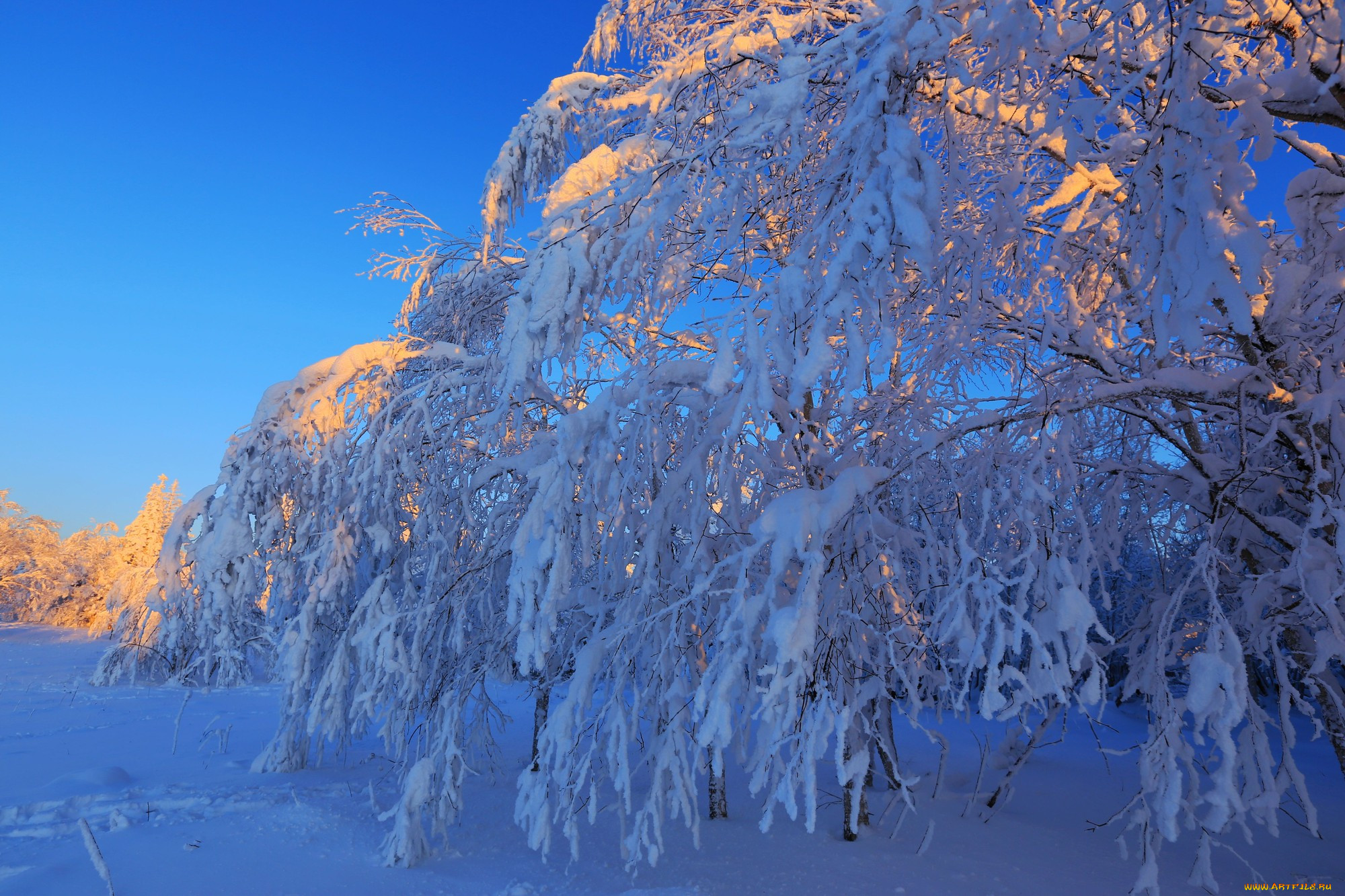 фото зимнее время